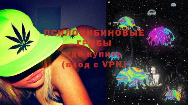 хмурый Дмитров